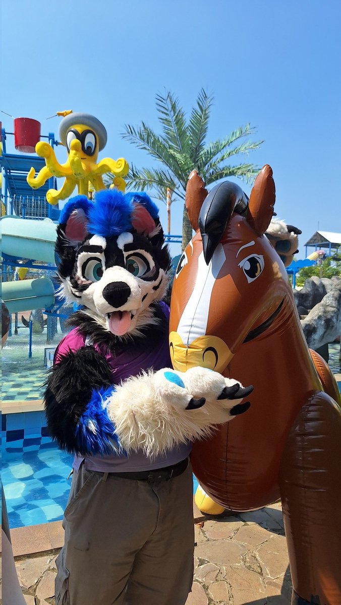 Ickx_Husky's tweet image. It's been awhile since I posted for #FursuitFriday, so here's more picture from yesterday!
