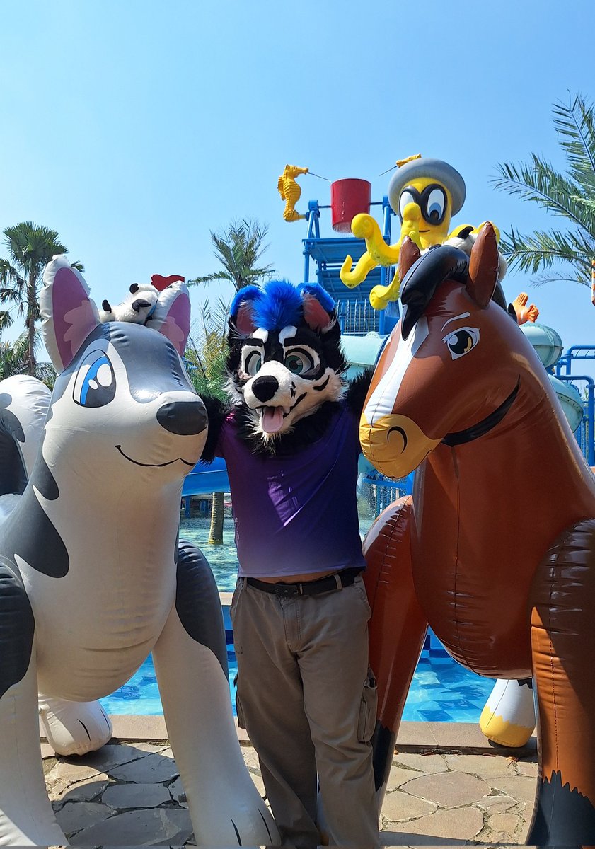 Ickx_Husky's tweet image. It's been awhile since I posted for #FursuitFriday, so here's more picture from yesterday!