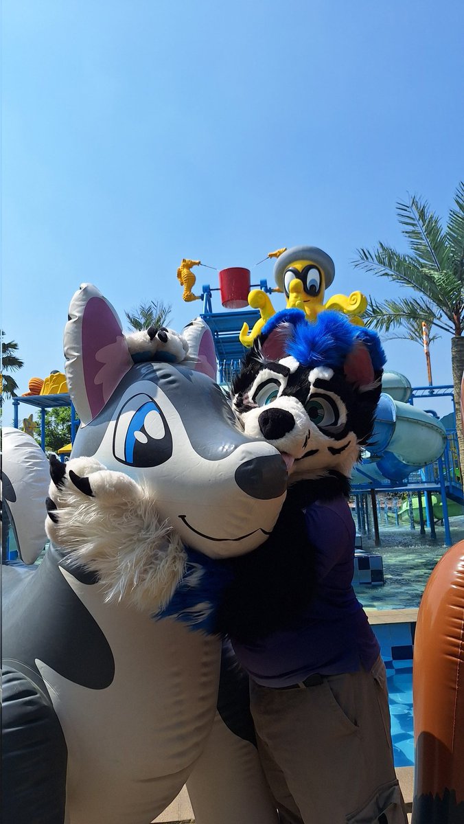 Ickx_Husky's tweet image. It's been awhile since I posted for #FursuitFriday, so here's more picture from yesterday!