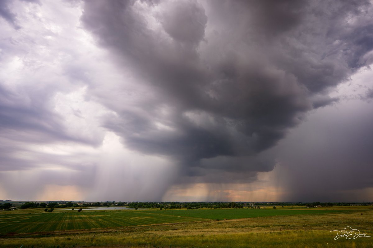 BigSkyCaptures's tweet image. A severe thunderstorm rolled through northern Colorado this evening, bringing heavy rain and a little hail. Good night, friends.⚡🌧️ #cowx