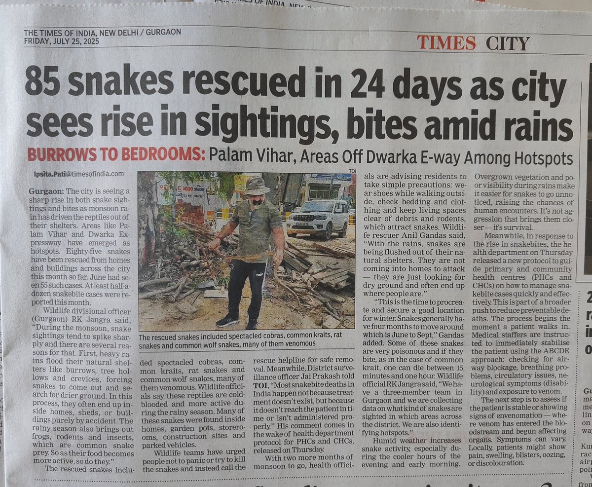IpsitaTOI's tweet image. 85 snakes rescued in 24 days as city sees rise in sightings & bites amid rains @FawpsIndia
@WCT_India @kartick_wildsos
@anilgandass9 @wii_india
Read the full story here
timesofindia.indiatimes.com/city/gurgaon/8…