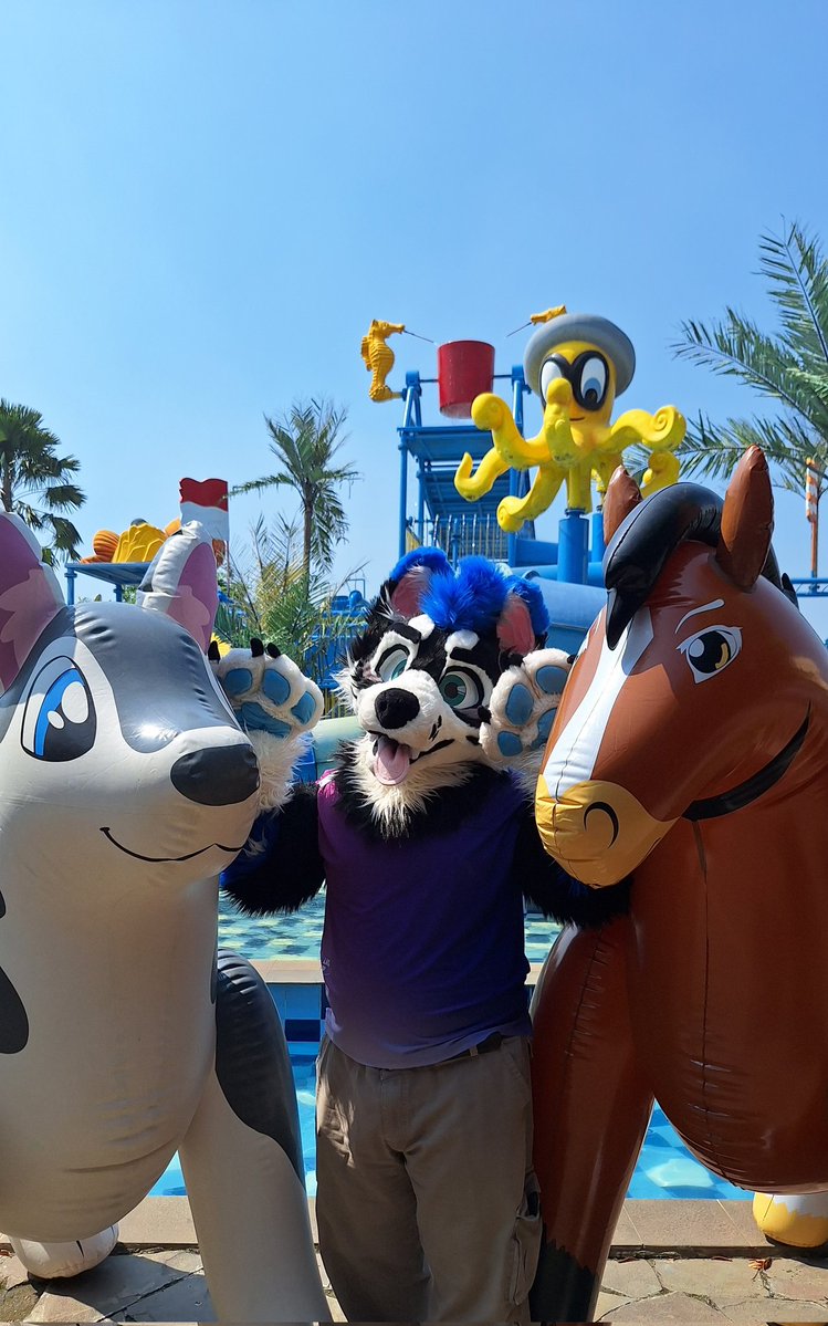 Ickx_Husky's tweet image. It's been awhile since I posted for #FursuitFriday, so here's more picture from yesterday!