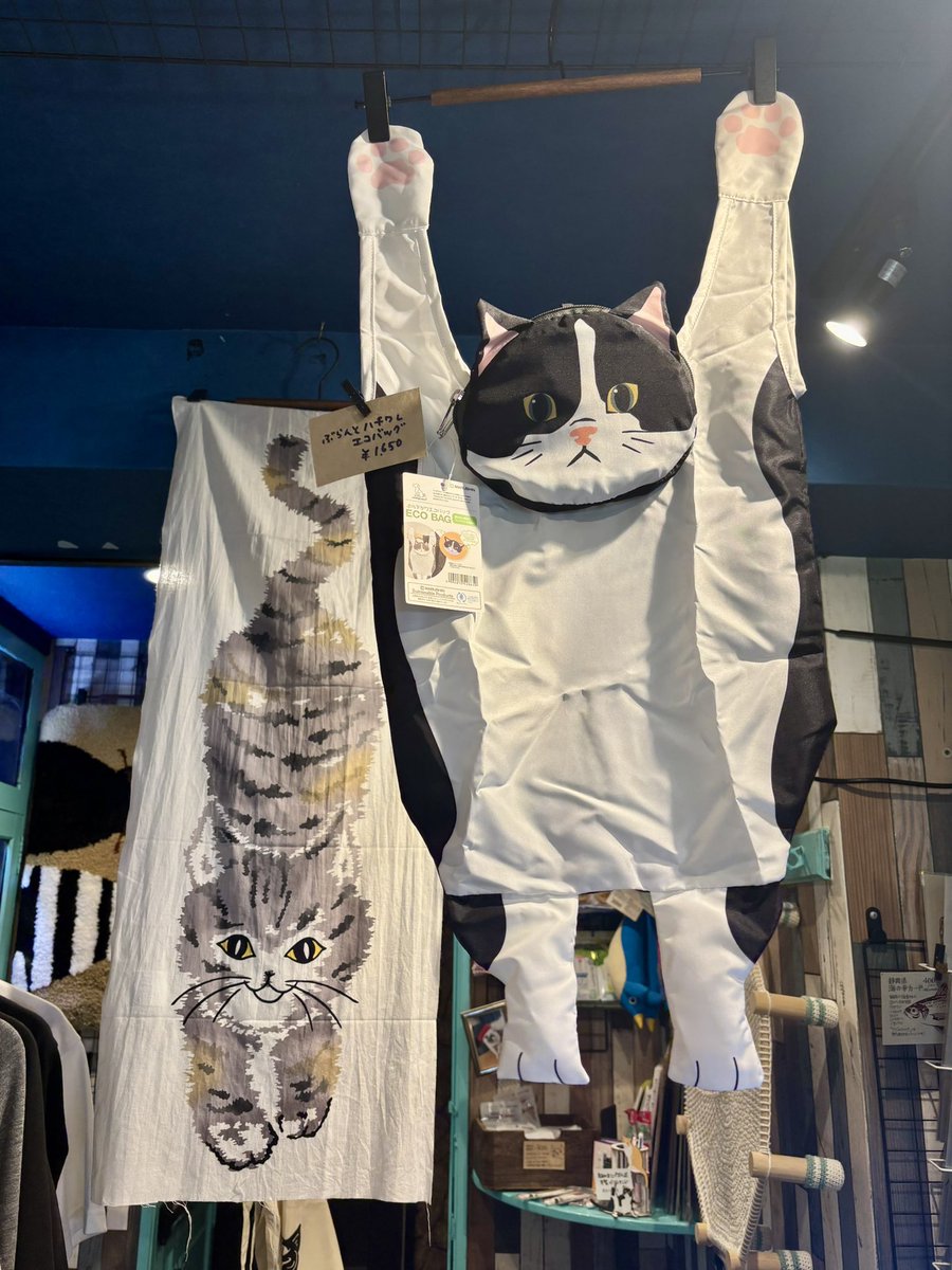 doronekoclub's tweet image. 本日の新入荷&再入荷🐾
水で溶かすだけ簡単アイスティー
猫ちゃん型きらきらキッチンスポンジ
ねこたまバスボール
ぶらさがりハチワレ猫ちゃんエコバッグなど
こちらからチェック👇
muddycatclub.com/?category_id=6…