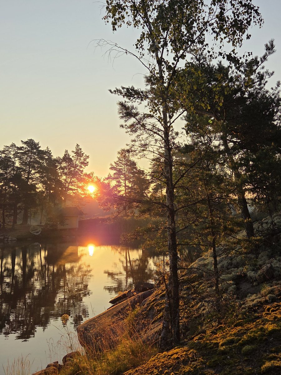 Piam68377597's tweet image. Hyvää huomenta! Ihana aamu, lämpötila +16°C, vähän usvaa. Kesäistä perjantaita ☀️