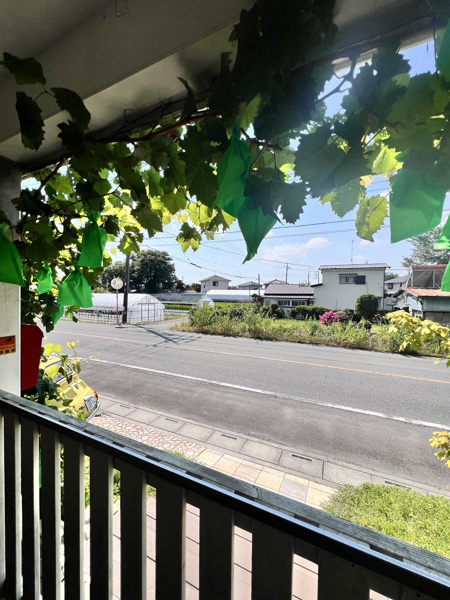 HowaSeiki's tweet image. おはよう晴れ🌞