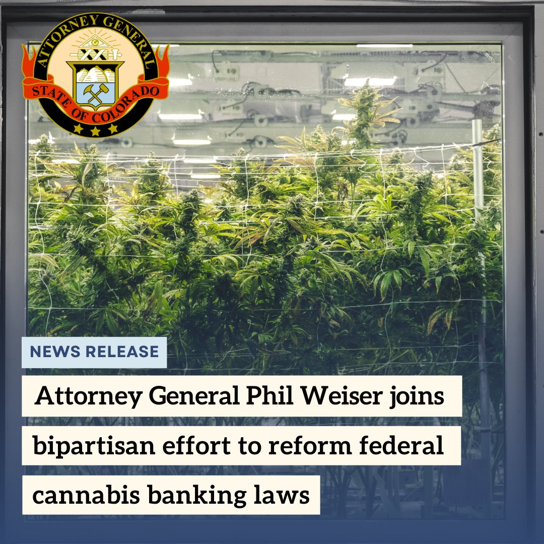 COAttnyGeneral's tweet image. Attorney General Phil Weiser today joined a bipartisan coalition of attorneys general in calling on Congress to pass legislation which would provide legal clarity for banks and financial institutions to serve state-regulated cannabis businesses. Read more: bit.ly/44YpoNa