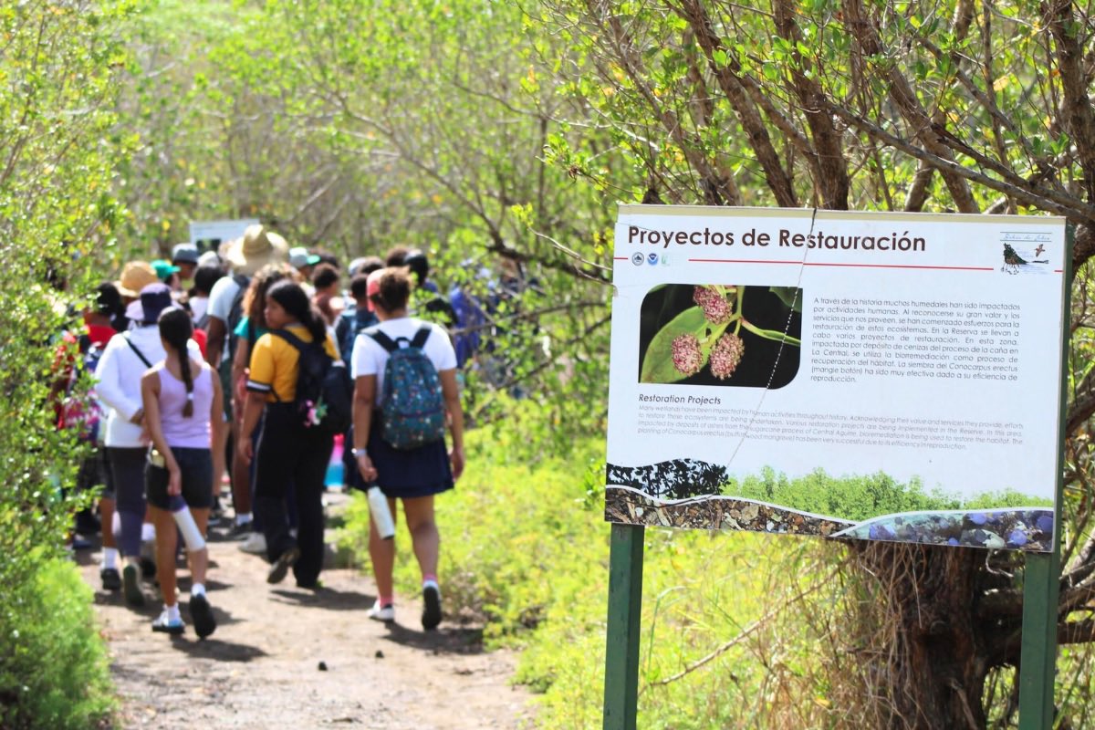 LaPerlaPR's tweet image. Juventud siembra mangles y restaura suelos en jornada ambiental en Salinas | tinyurl.com/ye29m92c
Jóvenes del sur participaron en la 19na Convivencia Ambiental del Comité Diálogo Ambiental de Salinas, aprendiendo, sembrando y defendiendo el ambiente con conciencia y acción.