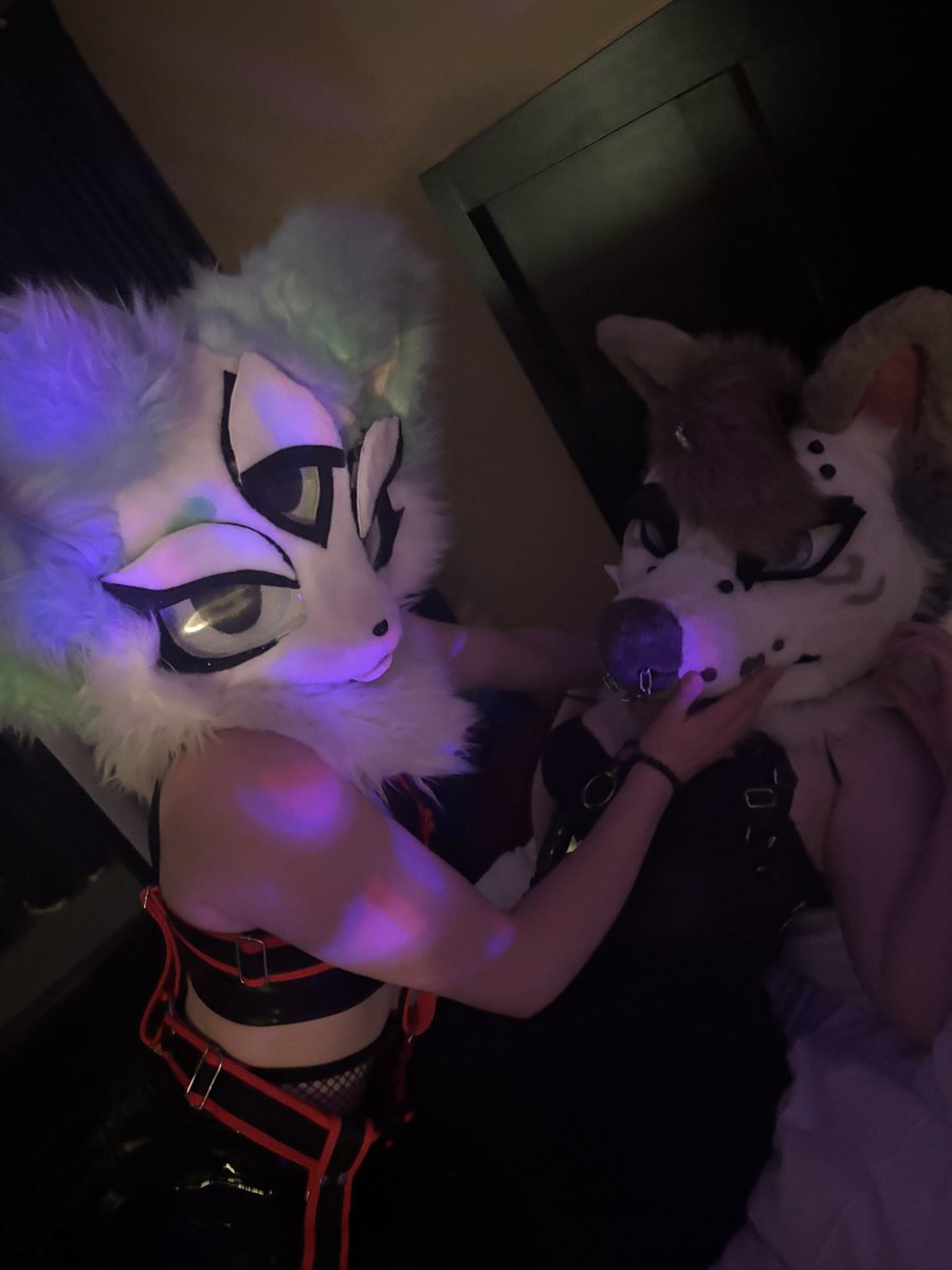 Had a fun night with the lovely <a href="/CooperVapourAD/">Sam</a> 

#nsfwtw #furrynsfw #murrsuiter #yiff #furryporn