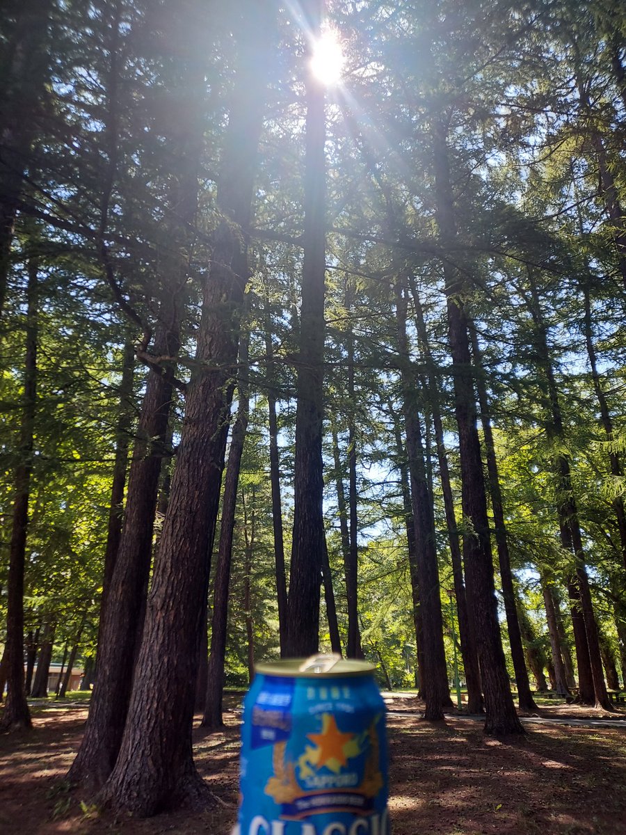napiochan's tweet image. 今日も暑いですね。
水分補助をしっかりと😇