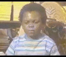 ngee_danielle's tweet image. Is it mere coincidence that this whole GMO discourse and the government’s investment in these patented seeds is concurrently happening at the same time the food producing states in Nigeria are being attacked and ravaged. Talking about Benue, Plateau etc…
Aragbala Nutritionists…