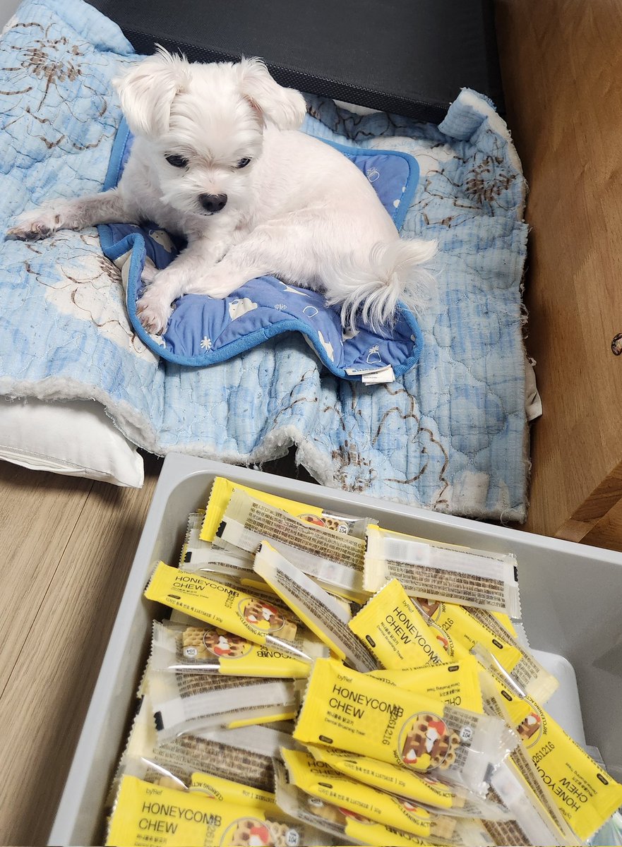 mandoo151214's tweet image. 강아지 곳간 채우기