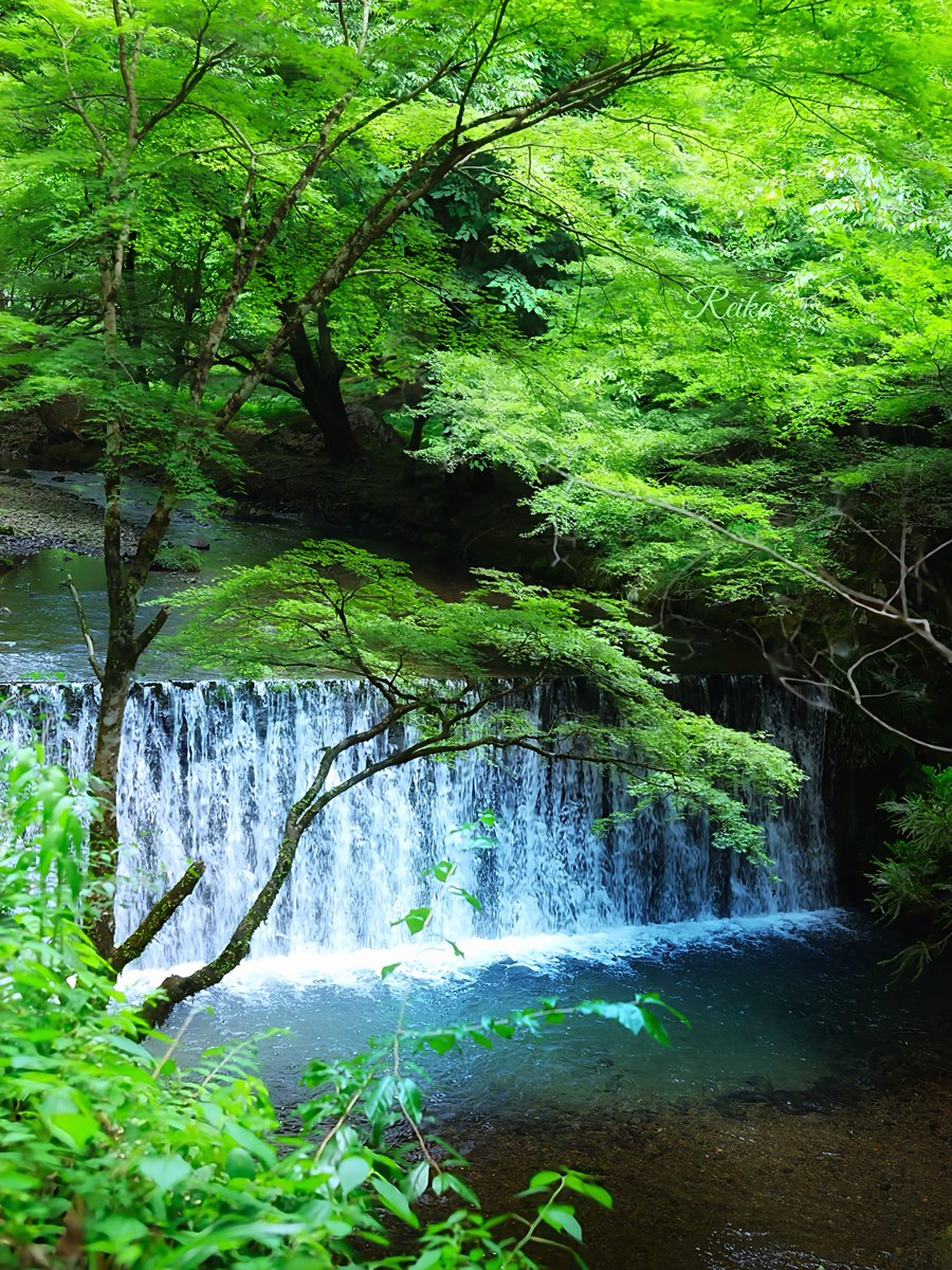 rotsurechiha's tweet image. 美しい水が流れる場所