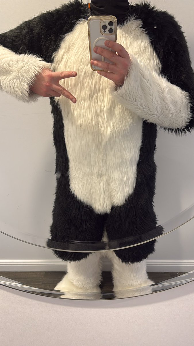 Dexter_Collie's tweet image. Dawg time!!!

Come take some pic with me!

#Aurawra2025