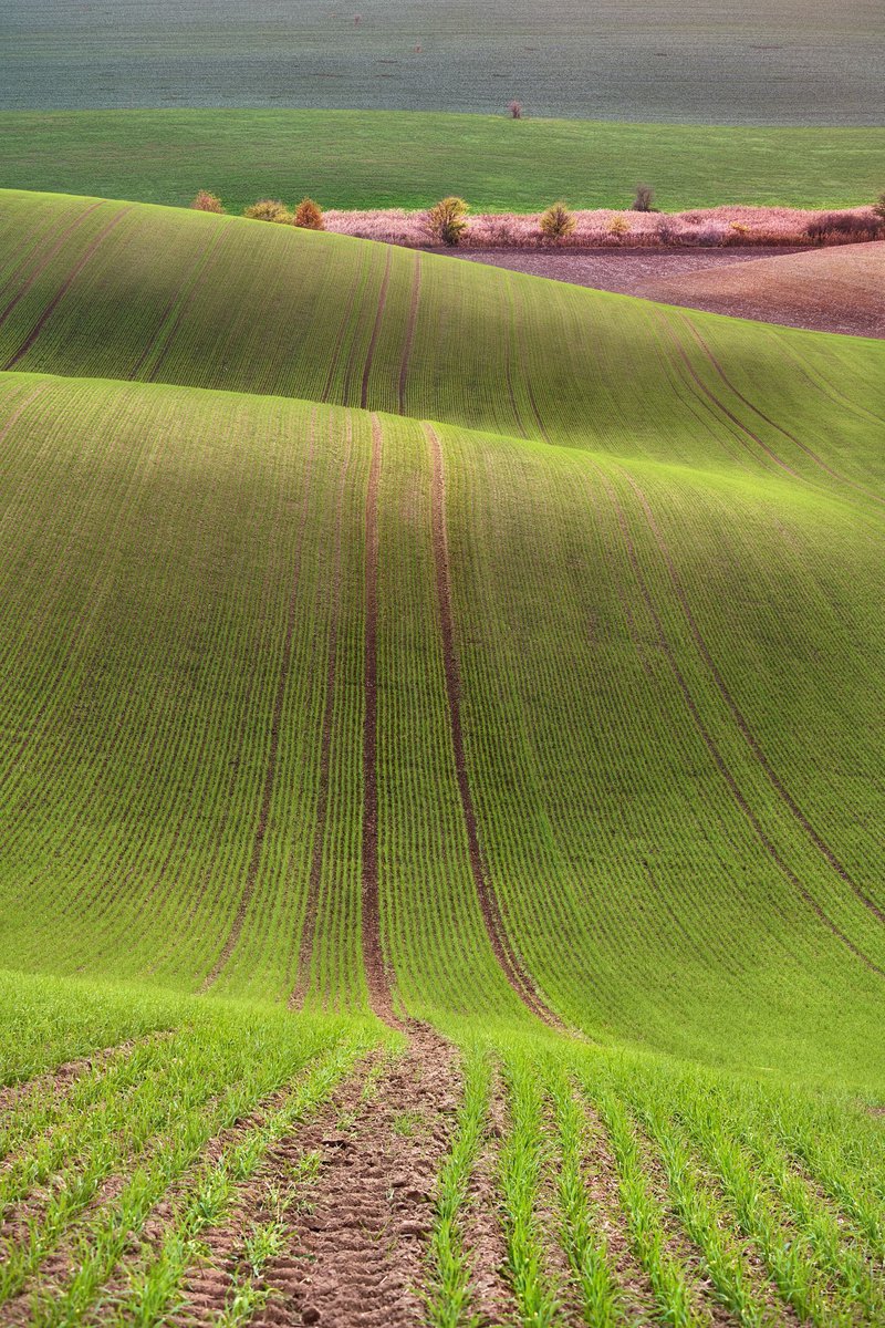 ImagesByJonEvan's tweet image. Photograph of Farmland in South Moravia #Buyintoart #homedecor #homedecoration #homedecorating #interiordecor #travel #photography #artistsonTwitter #aYearforArt #artprints #artforsale Please refer to link for info and pricing buff.ly/3TeIGsy