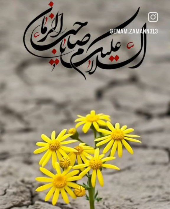 Seddigeh47's tweet image. او، می آید، تکیه به دیوارِ حَرَم می زند، او مُنتَقِمِ خون حسین است، 
برای سلامتی و ظهور حضرت مهدی علیه السلام صلواتی هدیه کنیم