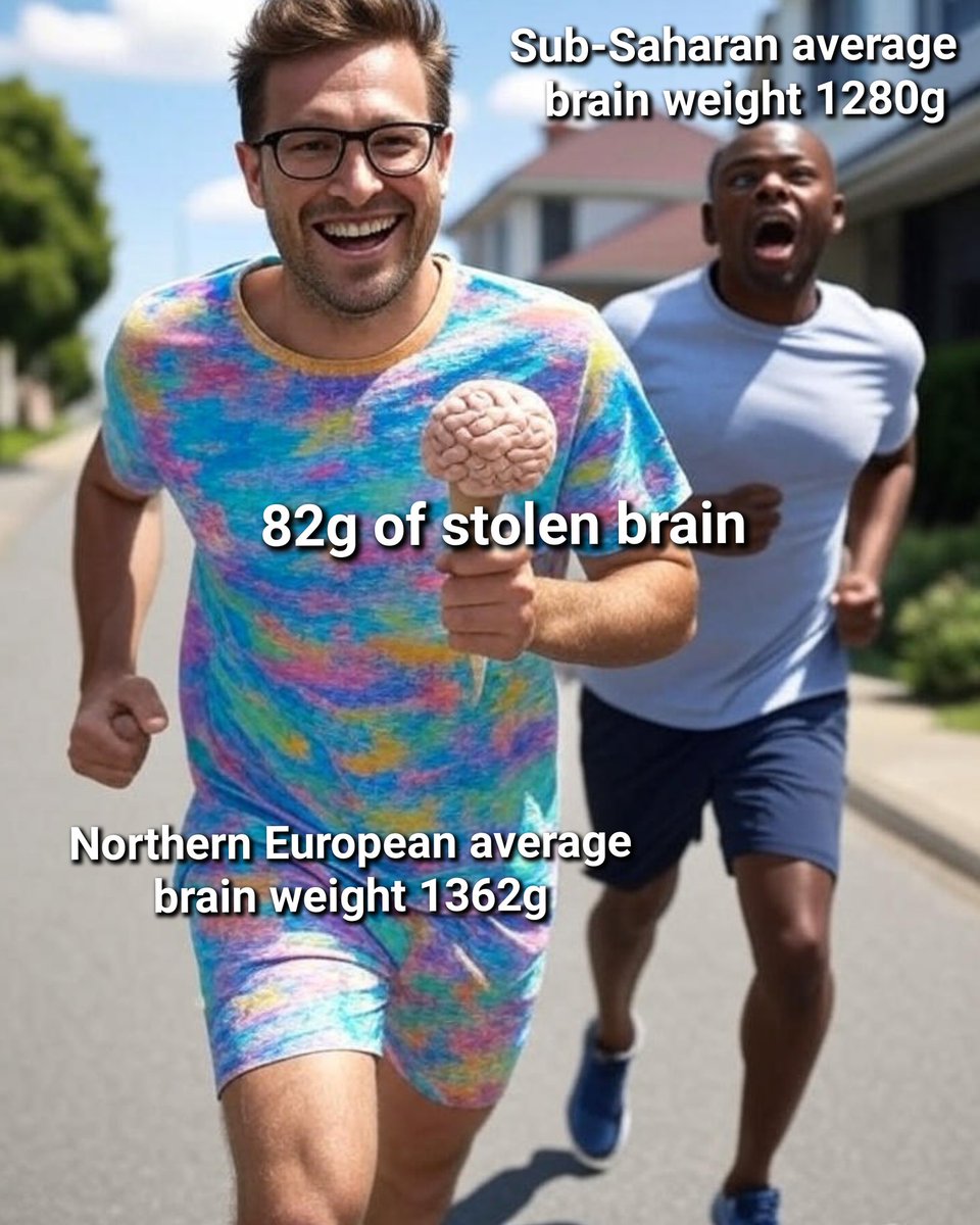 AAetheralf11016's tweet image. Next time somebody argues muh socioeconomic factors over IQ, remind them of brain weight.
What did we steal it too?