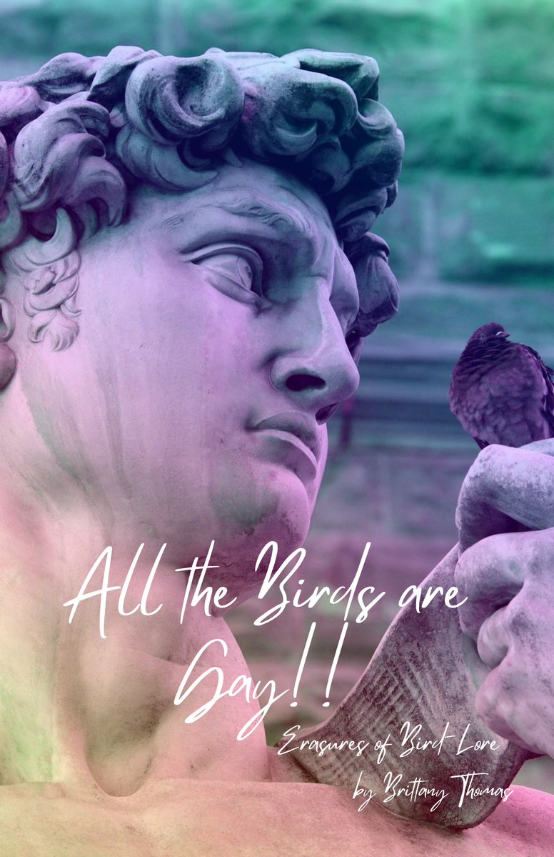 GhostCityPress's tweet image. ALL THE BIRDS ARE GAY!! by Brittany Thomas (@britomatic) is out today as part of the 2025 Summer Series! Download your free copy here: ghostcitypress.com/2025-summer-se…