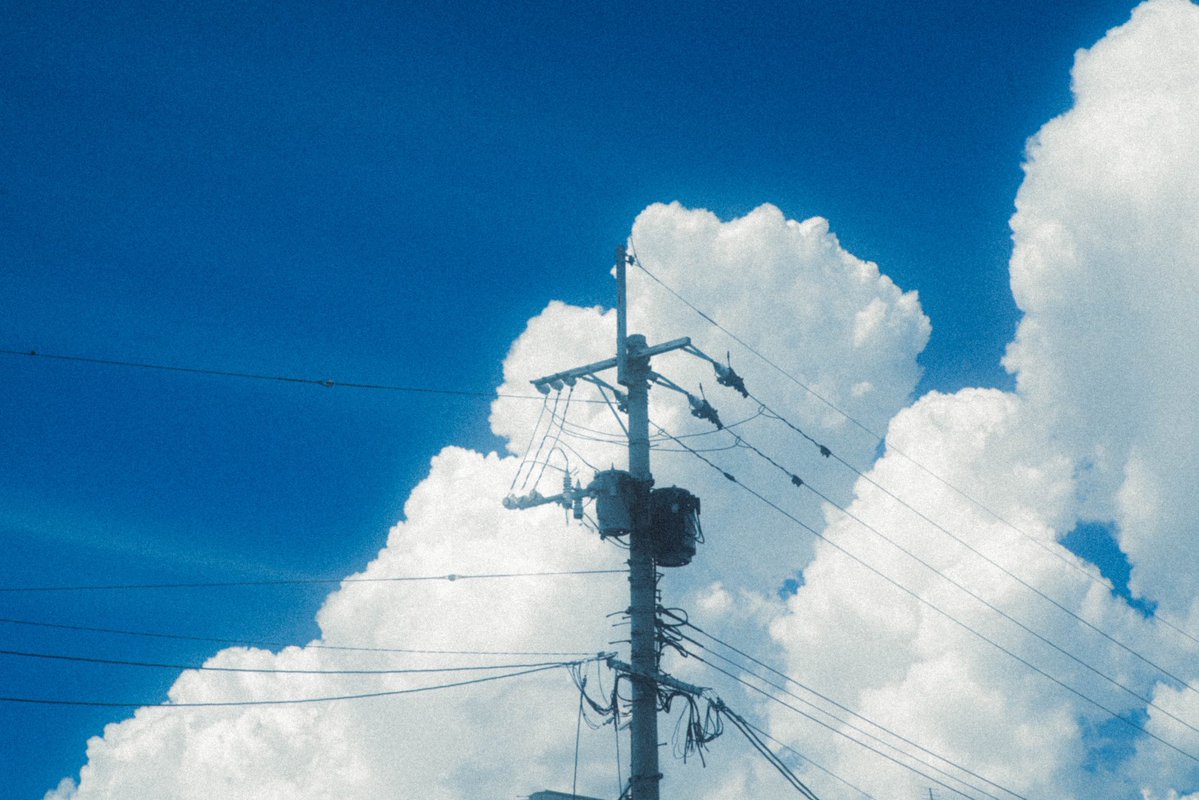 pic_kn__'s tweet image. 夏と煌めき