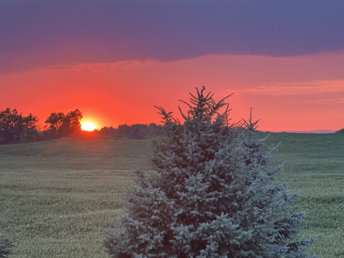 kelly sharpe tweet media