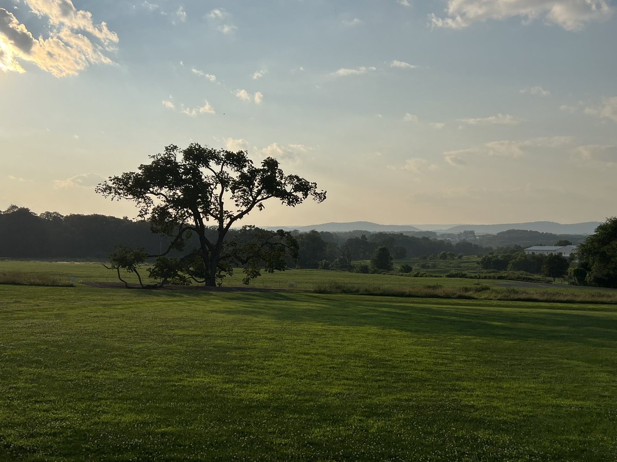 dajmeyer's tweet image. Glowing hydrangea at the @PennState Arboretum, and the view West from there.