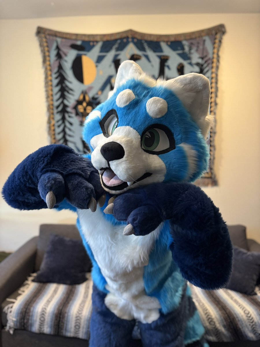 CoyoteArcade's tweet image. Smile for the camera 📸