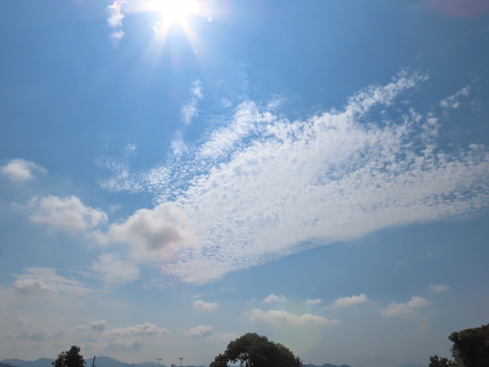 そらみ様予約⭐︎未開封！「陽あたり良好！」 🦋