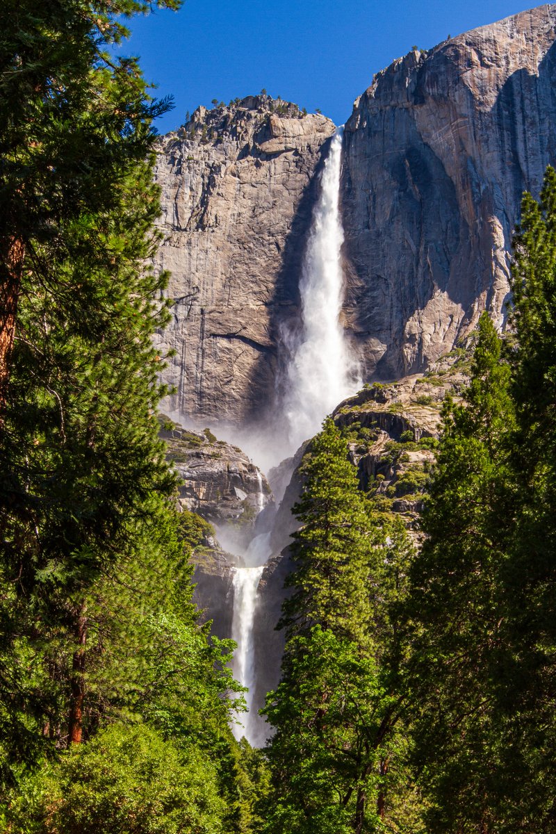 JohnGetchel's tweet image. Gushing Yosemite Falls
Share your iconic national park photos my friends!