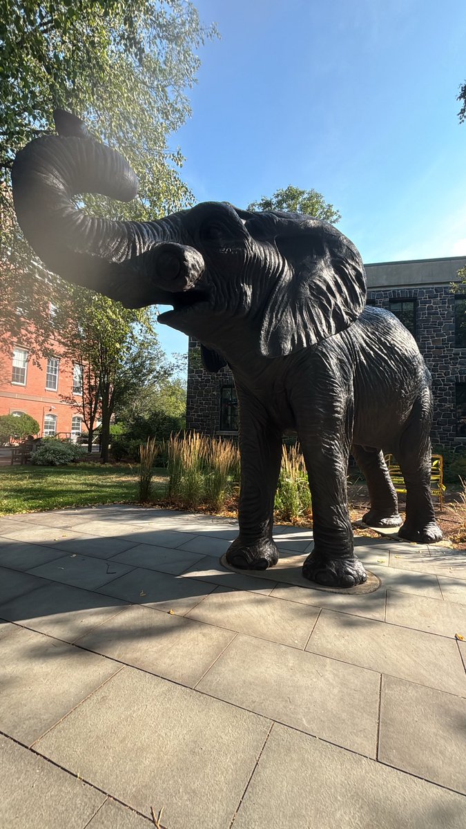 Rylee Wilson (2026) tweet media