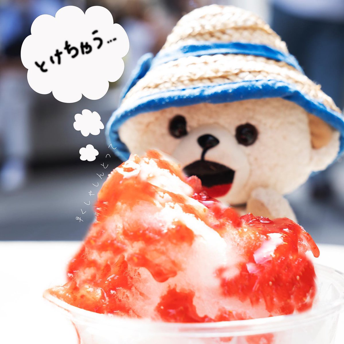 fafa_bear's tweet image. きようはかきごおりのひ、なんだって～☆
あついから、いやされる～♪