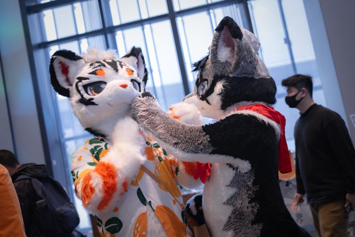 不要随便挑弄厨子，要不然你会被打（
被打得 <a href="/Orange_TigerOwO/">秋橙🍊あきとら🔜极兽聚SFF</a> 
📷 团子
#FursuitFriday