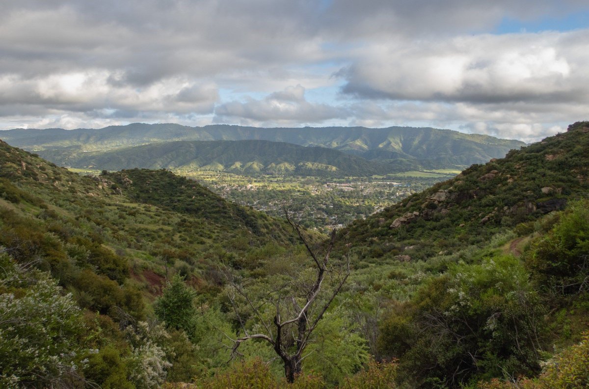 keithrpillow's tweet image. Outstanding!
Where to Find Ojai’s Best Restaurants, According to a Local Writer: buff.ly/lxHYKkS
Source: @MeaghanClark in @EaterLA
