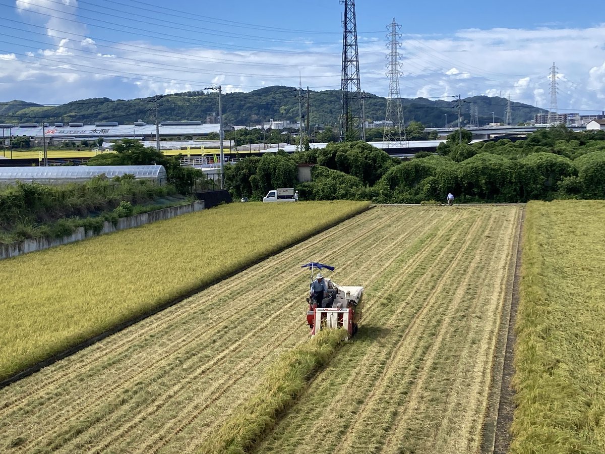 henro_ryujo's tweet photo. 高知は稲の収穫🌾です https://t.co/sIbBv2BYWa