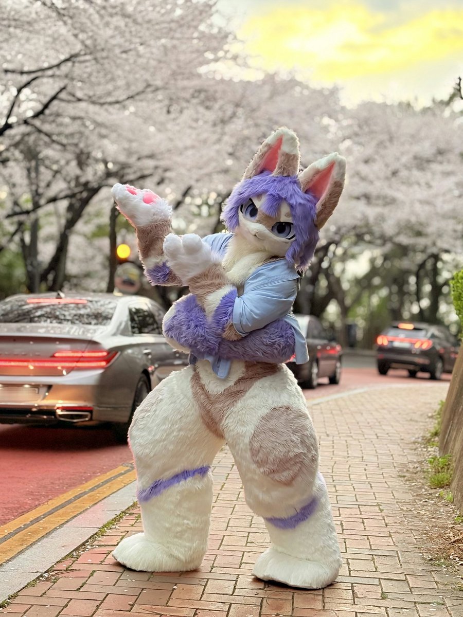 sins_owo's tweet image. 여기 꽃이야!!!🌸
#FursuitFriday
