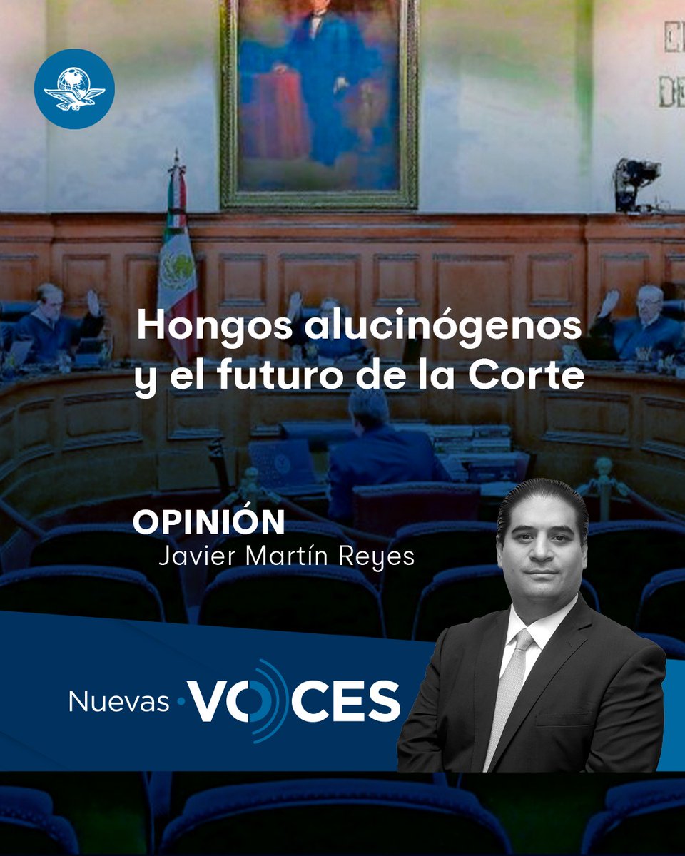 jmartinreyes's tweet image. Ignorar a la nueva @SCJN sería un error imperdonable.

Sí, ya no será contrapeso, pero aún puede arrasar con décadas de derechos.

Y si no reaccionamos a tiempo, cuando lleguen los retrocesos, será demasiado tarde.

Hoy escribo en @El_Universal_Mx: 🔻

🎯 eluniversal.com.mx/opinion/javier…