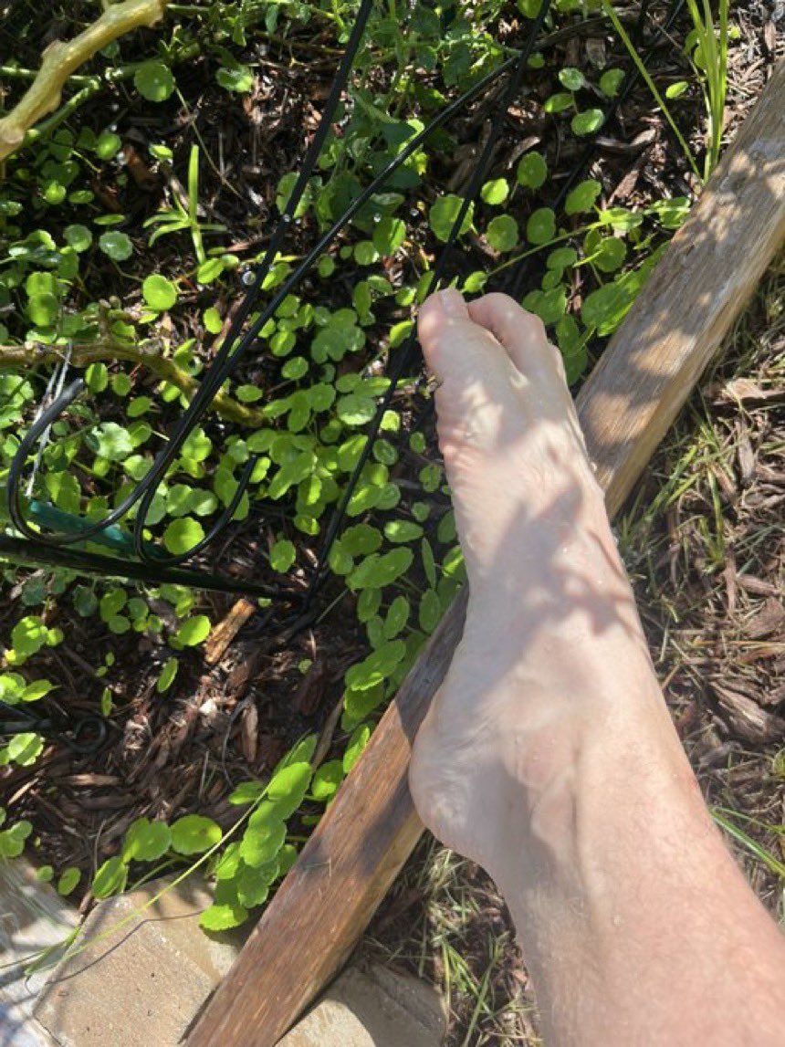 thenightshiftio's tweet image. 👣 Scenic Foot Pics Callout!
Wanna be featured in this month’s Shift Heads Magazine?
Send us a pic of your feet out in the wild — beach, concert, mountain, wherever you touch grass 🌍
Tag us or DM it! #ShiftHeads #ScenicFootPics
📸 ShiftHead in the Wild 👇Xxx rated 😂