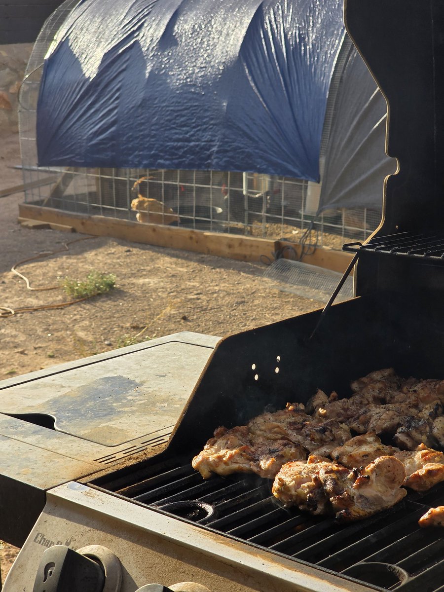 Yeah...

Don't tell my chickens what that delicious smell is.