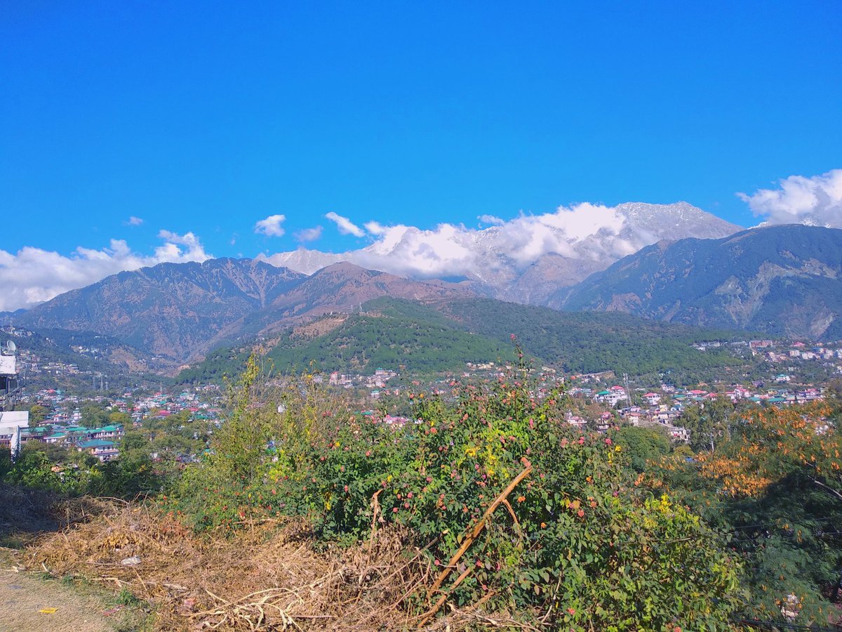 Good Morning! 🌞🏔️

The sky kisses the peaks and nature paints its masterpiece. 🌿🌸

✨ Breathe in peace, exhale stress. it's a beautiful new day! ✨