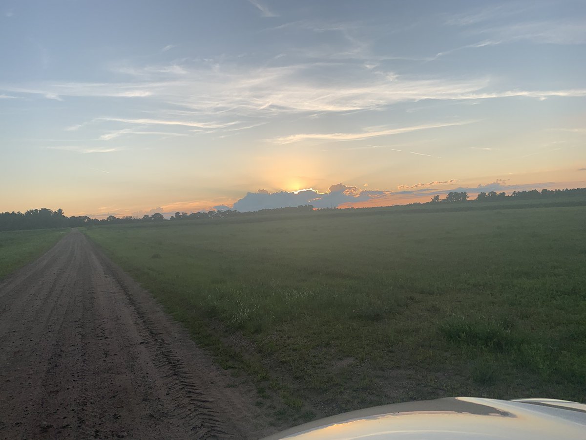 2AEnjoyer's tweet image. Sunset, little blocked by clouds