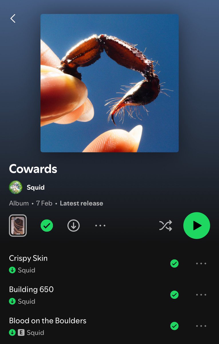 pjharvss's tweet image. reminder that this album is still the best album of 2025 so far