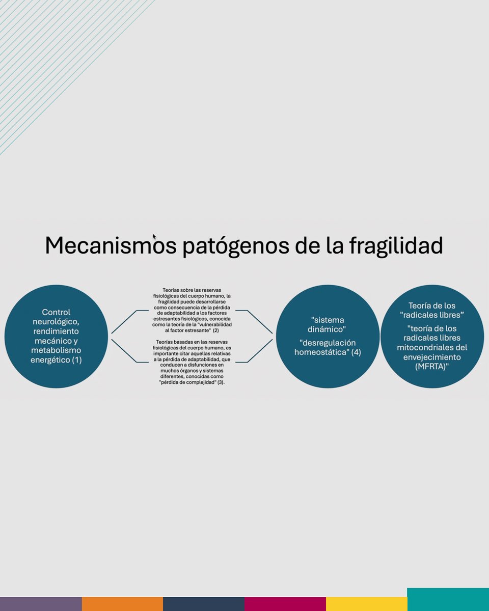Academia Mexicana de Geriatría AC (@amgeriatriaac) on Twitter photo Webinar “Actualidades en fragilidad y sarcopenia”, a cargo de la Dra. Sandra Milena Caicedo Correa (Colombia), especialista en Geriatría. Webinar “Actualidades en fragilidad y sarcopenia”, a cargo de la Dra. Sandra Milena Caicedo Correa (Colombia), especialista en Geriatría.