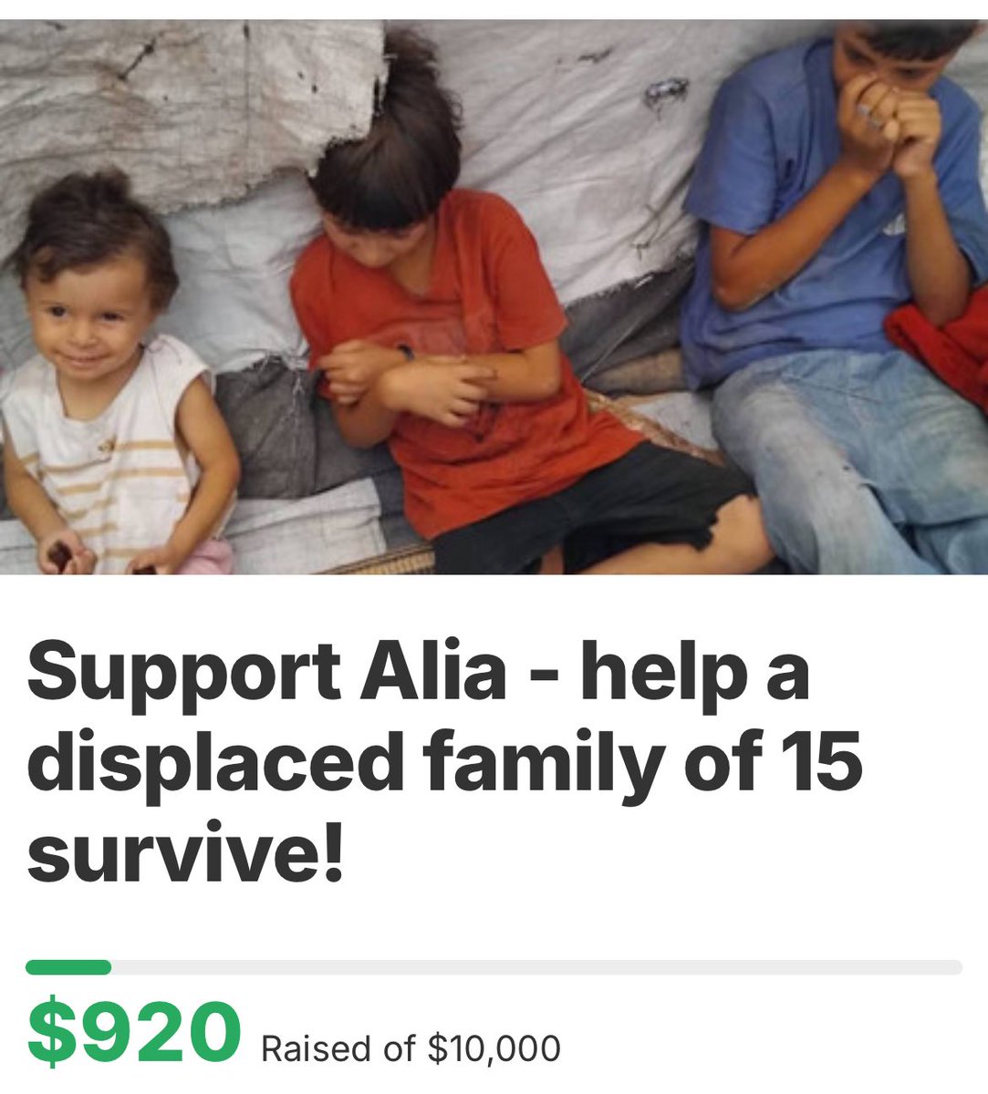 vicevxrda's tweet image. Today is Thursday and I’m really hoping that the remaining $80 CAD can be raised by Sunday 🤞@AliaSalah552263’s family of 15 are depending on this!
Bit.ly/HelpAlia
