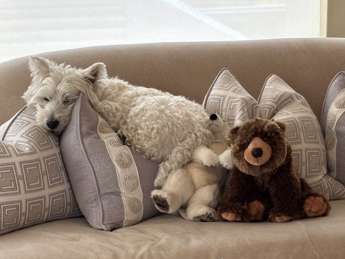 Three bears (in her dreams, anyway).