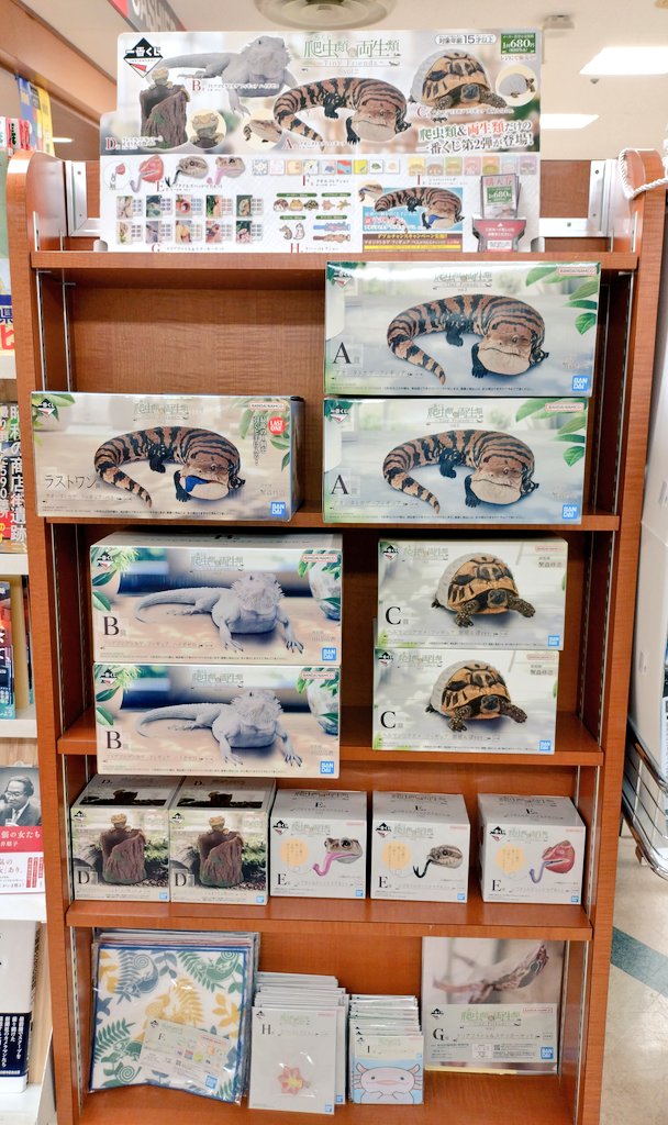 TosandoK's tweet image. 一番くじ
🐢🦎🐍爬虫類&両生類~Tiny Friends~vol.2🐢🦎🐍
本日より販売開始!
vol.1が即完売だったため、今回もお早めのご来店をお待ちしております🏃♂️💨💨
#一番くじ #爬虫類 #両生類 #東山堂 #川徳 #カワトク