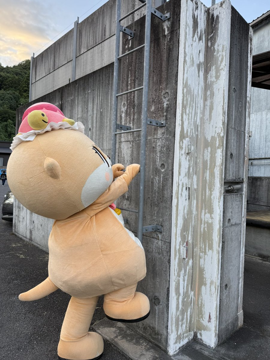 公式：ちぃたん☆広島 (@chiitanmomiji) / X