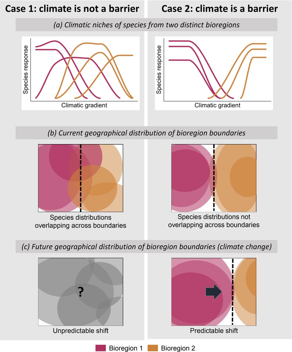 GlobalChangeBio's tweet image. Biogeographical Regions and Climate Change: Lanternfishes Shed Light on the Role of Climatic Barriers in the Southern Ocean 

🔗 buff.ly/vJwBcPv