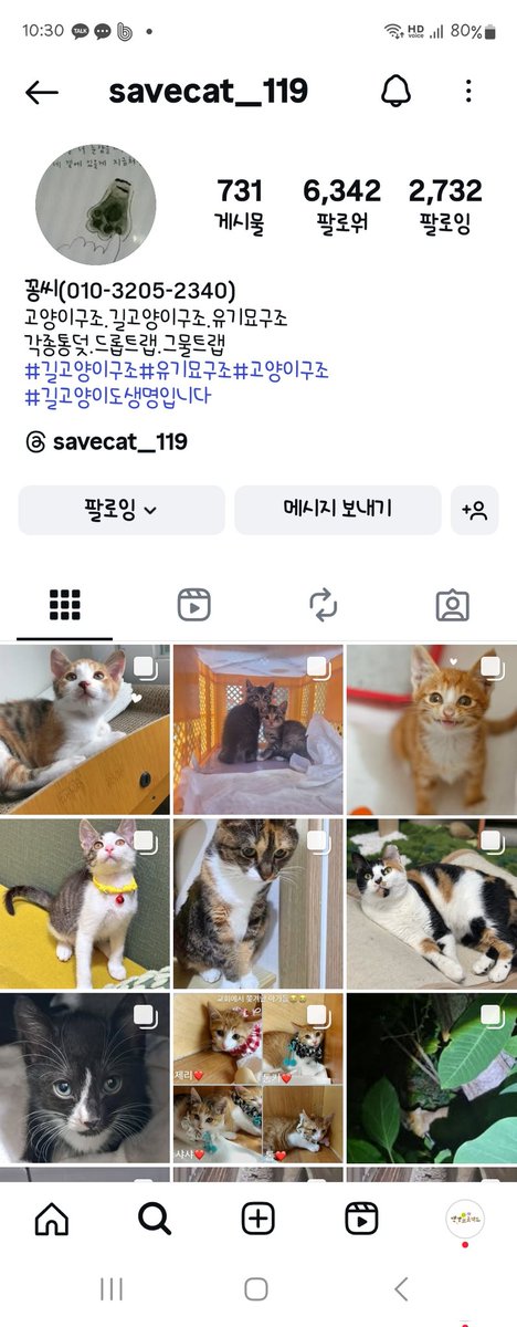 세상 가여운 길냥이들을 포획해주시던
꽁씨아저씨가 세상을 등지셨어요ㅠ
안타깝고 믿어지지 않습니다
저희도 꽁씨아저씨덕에 외출냥이였던
썬더 , 인천 모리 , 지금은 세상에 없지만
은총이 등을 구조했었어요

마음 따스했던 캣대디기도했던
꽁씨아저씨 영면 하시길 ㅠ