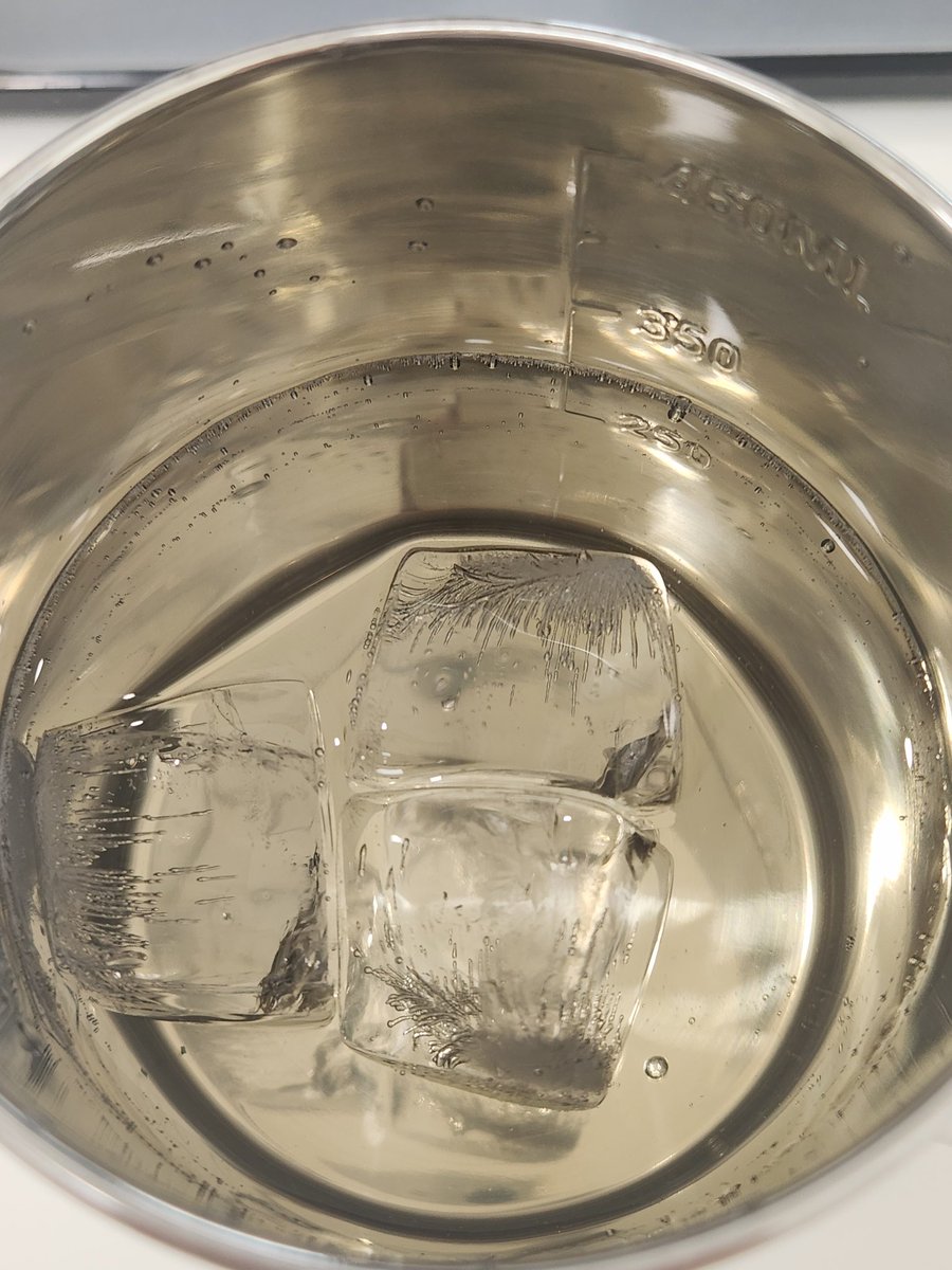 오늘의 차는 브라운즈 영천 연잎차
어젯밤 달리기하느라 땀 쏙빼고 찬물샤워 후에 뜨시게 우려마신 뒤 
젖은 찻잎들을 냉침했다.
고소하고 단정해서 한여름에 마시기 조음...
냉침차로 마시니 단맛이 더 올라온다