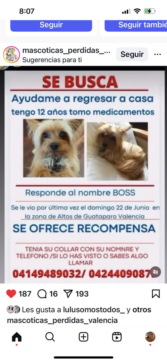 Rescata (@carmenzr04) on Twitter photo 