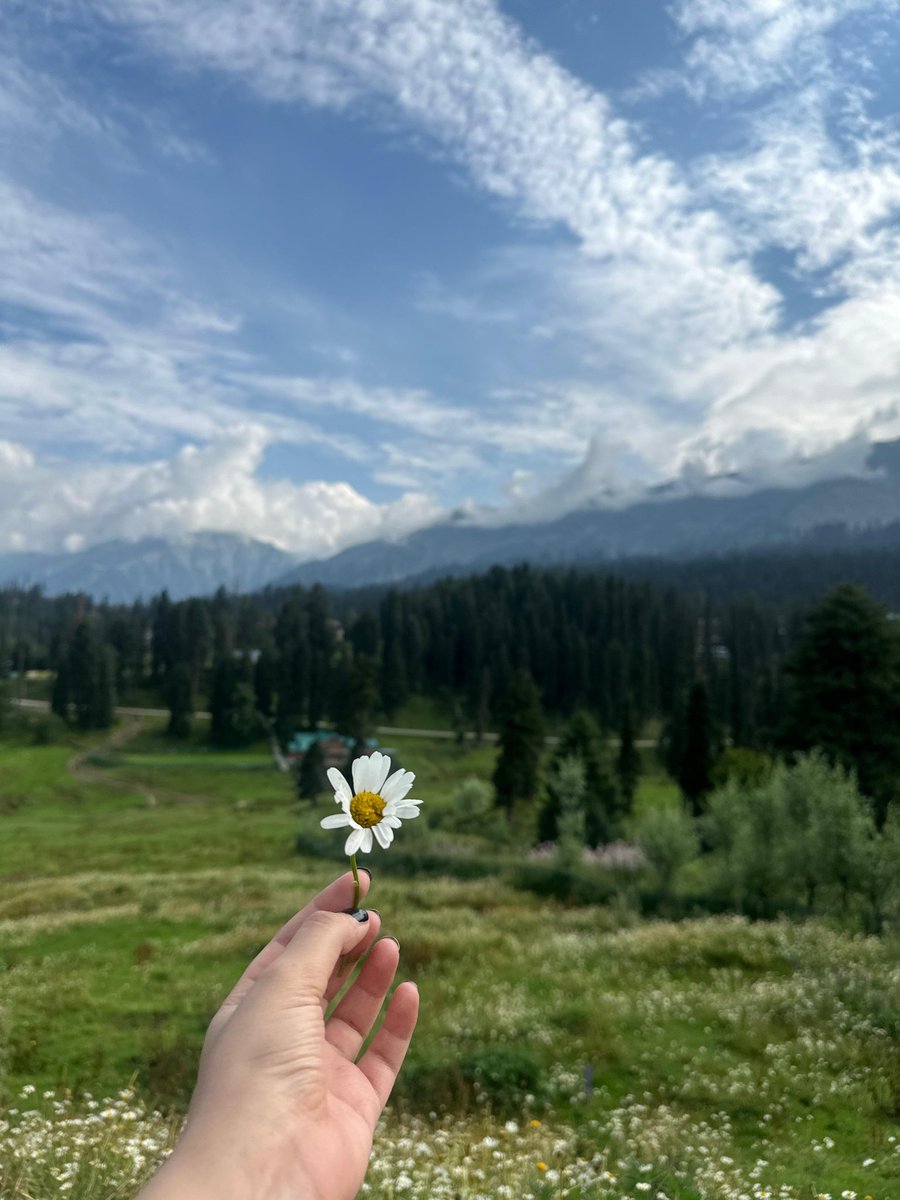 sunsetmusk's tweet image. The best kind of therapy.