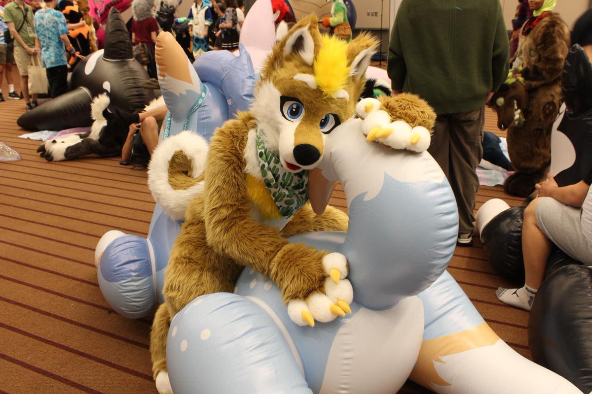 Chubbydigits_'s tweet image. Backwards Shiba :p

📸: @WinterKundra